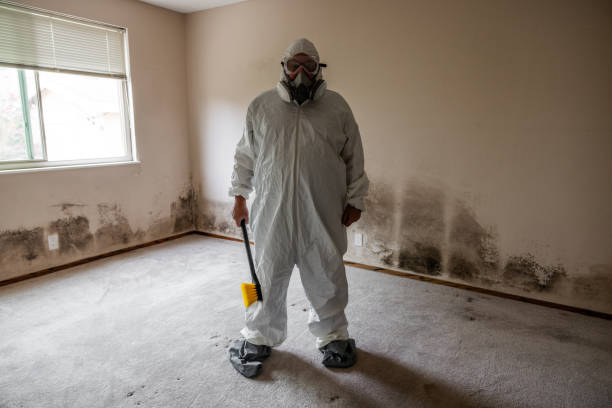 Biohazard Mold Removal in Peoria, AZ